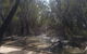 Banrock Station Wine & Wetlands Centre - thumb 6