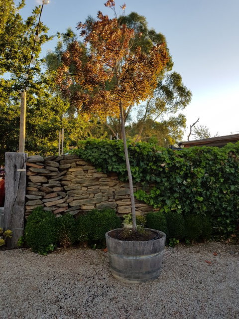 Barristers Block Cellar Door - Australian Directory 7