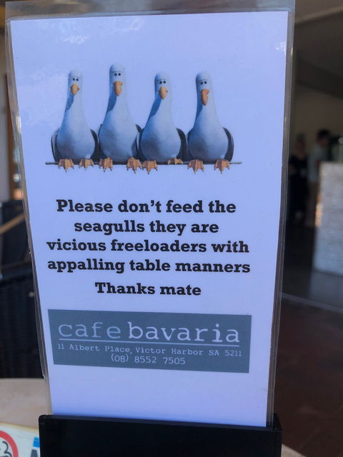 Cafe Bavaria - Australian Directory 4