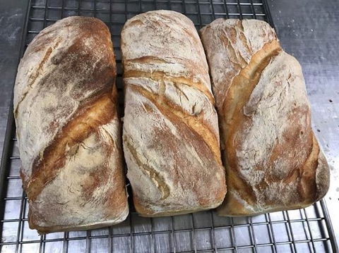 Clare Rise Bakery 1895 - Australian Directory 0