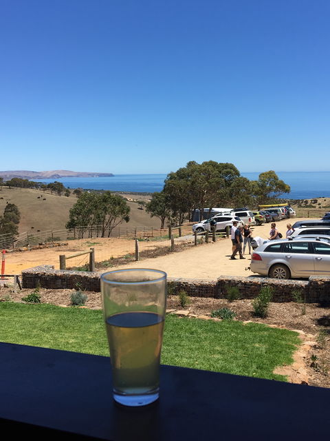 Forktree Brewing - Australian Directory 8