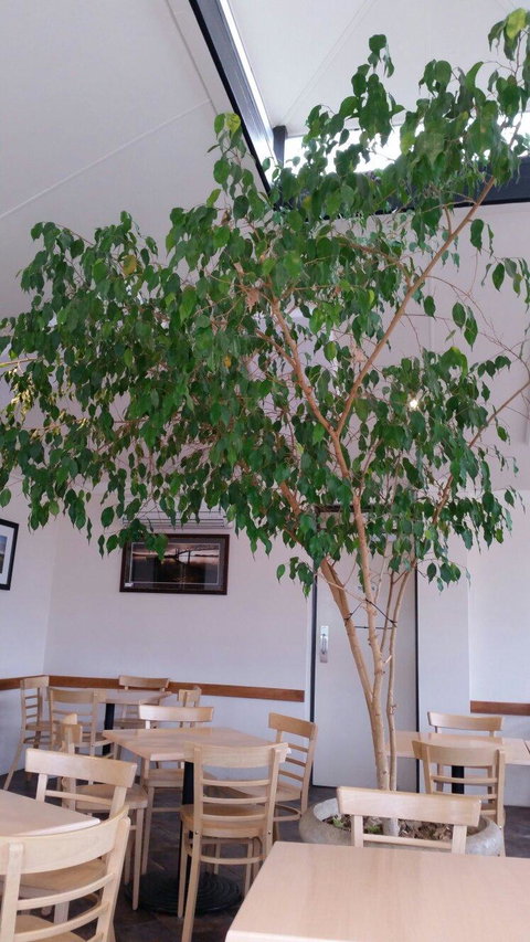 Lobethal Bakery - Australian Directory 1