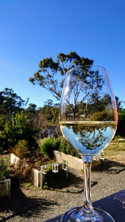 Mocandunda Cellar Door And Restaurant - Australian Directory 3
