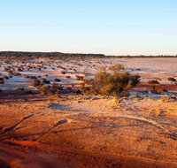 Mozie's Truckstop  Diner - Australian Directory