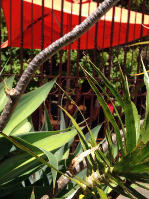 Soul Vine Cafe - Australian Directory 5