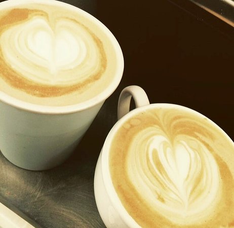 Alicia's Coffee, Cake, And Flowers - Australian Directory 0