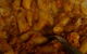 Bar Alto - thumb 4