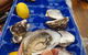 Beachcomber - thumb 3