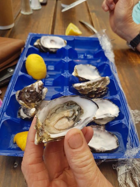 Beachcomber - Australian Directory 6