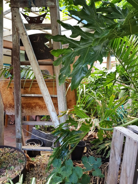 Chill Out - Australian Directory 1