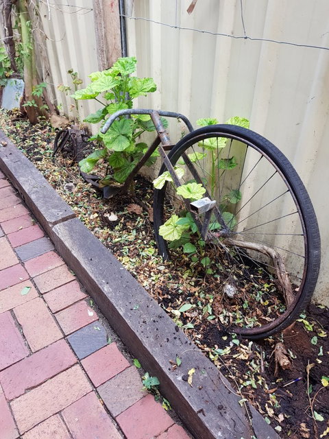 Chill Out - Australian Directory 2