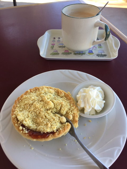 Copley Bush Bakery And Quandong Cafe - Australian Directory 1