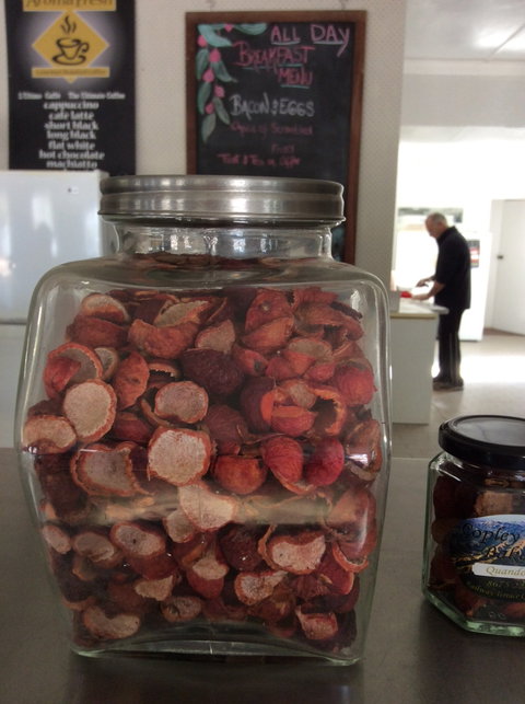 Copley Bush Bakery And Quandong Cafe - Australian Directory 4