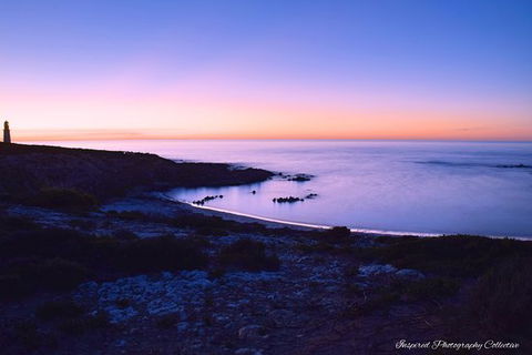 Howling Dog Tavern - Australian Directory 0