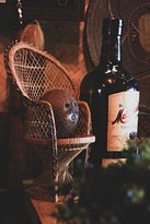Jungle Bar - Australian Directory 5