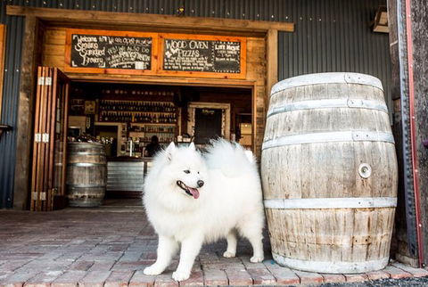 Smiling Samoyed Brewery - Australian Directory 0
