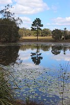 The Place 2b - Australian Directory 2