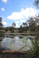 The Place 2b - Australian Directory 3