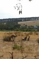 The Range Restaurant - Australian Directory 9