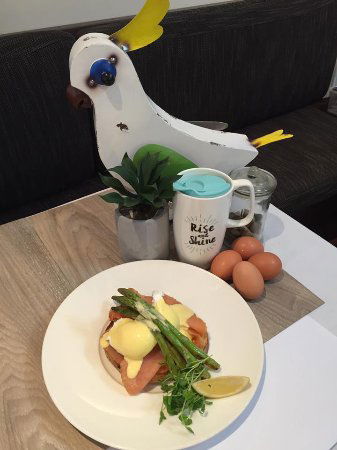 Blue Olive Cafe & Restaurant - Australian Directory 0