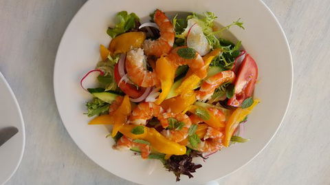 Ficca - Australian Directory 0