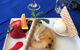 George's Paragon Seafood Restaurant Sanctuary Cove - thumb 0