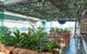 Hurricane's Grill Surfers Paradise - thumb 0