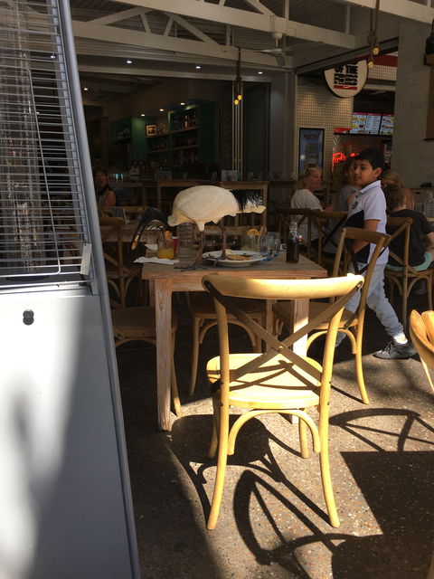 Latitude 28 Restaurant And Bar - Australian Directory 1