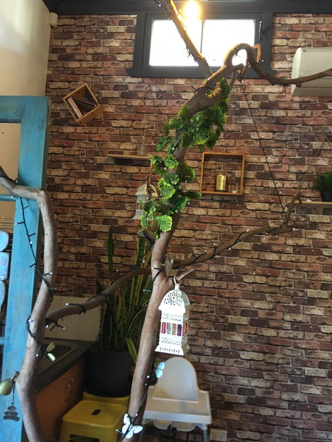 Woodbox Cafe - Australian Directory 6