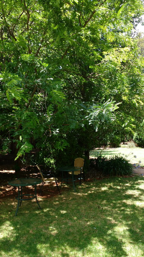 Kingfishers Cafe Restaurant - Australian Directory 1