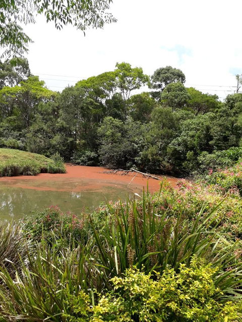 Kingfishers Cafe Restaurant - Australian Directory 5