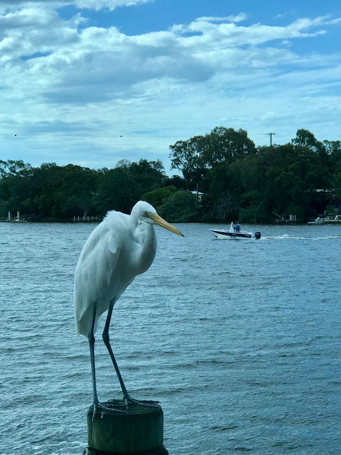 River Deck Restaurant - Australian Directory 2