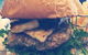 Entice Food And Wine - thumb 1