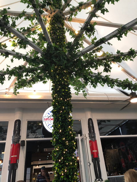 Underground Palm Cove - Australian Directory 2