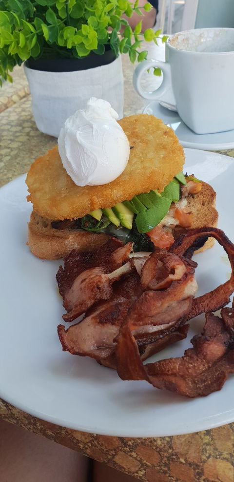 The Bikini Tree Cafe & Restaurant - Australian Directory 2