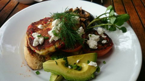 Green Turtle Cafe & Bar - Australian Directory 0