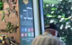 Skyrail Canopy Cafe - thumb 4