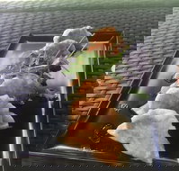 Three Black Sheep Cafe - Australian Directory