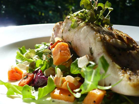 Cape Tribulation QLD Australian Directory