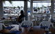 Marina Bar And Grill - thumb 0