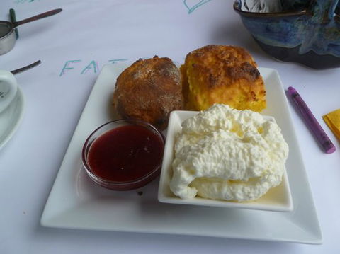 Nash Gallery & Cafe - Australian Directory 0