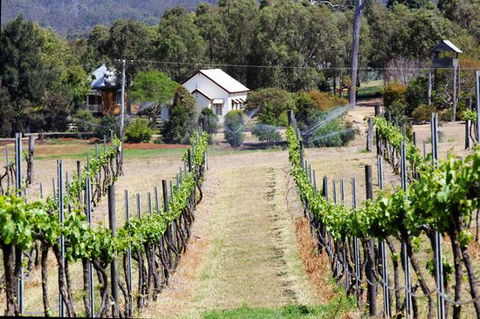 Prendergasts Irish Tavern - Australian Directory 0