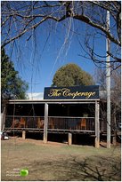 Prendergasts Irish Tavern - Australian Directory 3