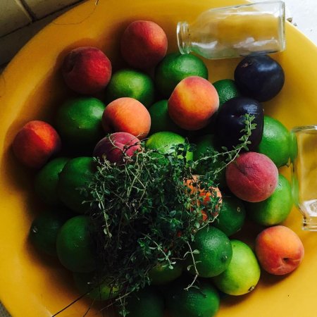 The Coffee Shoppe - Australian Directory 0