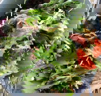 The Spun Yarn Cafe - Australian Directory