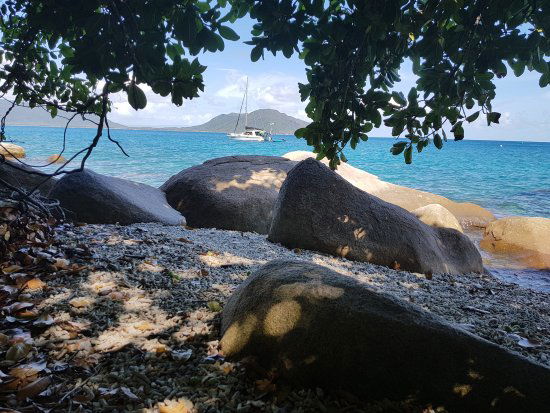 Fitzroy Island QLD Australian Directory