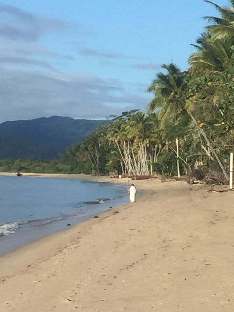 Newell Beach Takeaway And Cafe - Australian Directory 2