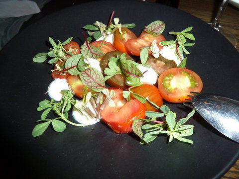 Cutler & Co - Australian Directory 0