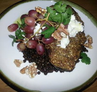 Transformer Fitzroy - Australian Directory