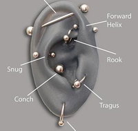 Hand  Body Concepts - Australian Directory